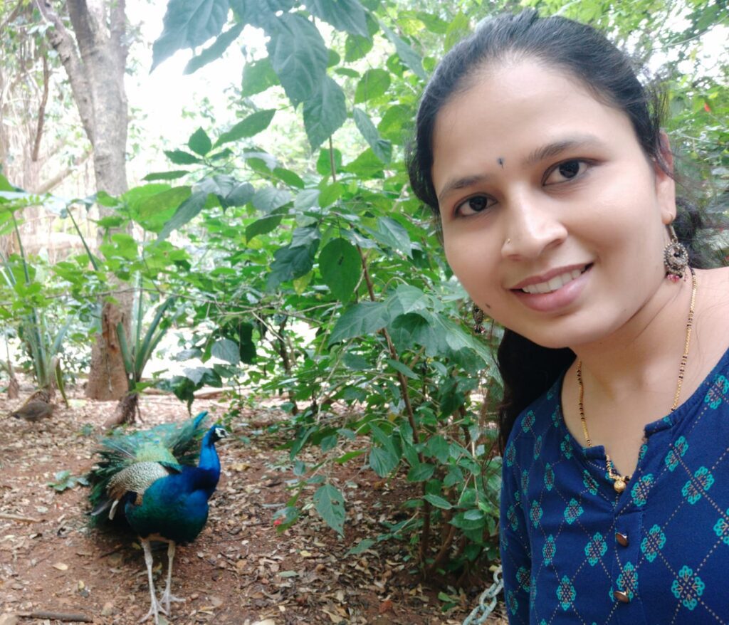 Twinning with colourful peacock at Karanji Lake Mysore