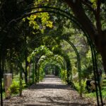 Greenary in Cubbon Park Bangalore